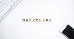 WordPress'e ürün ekleme